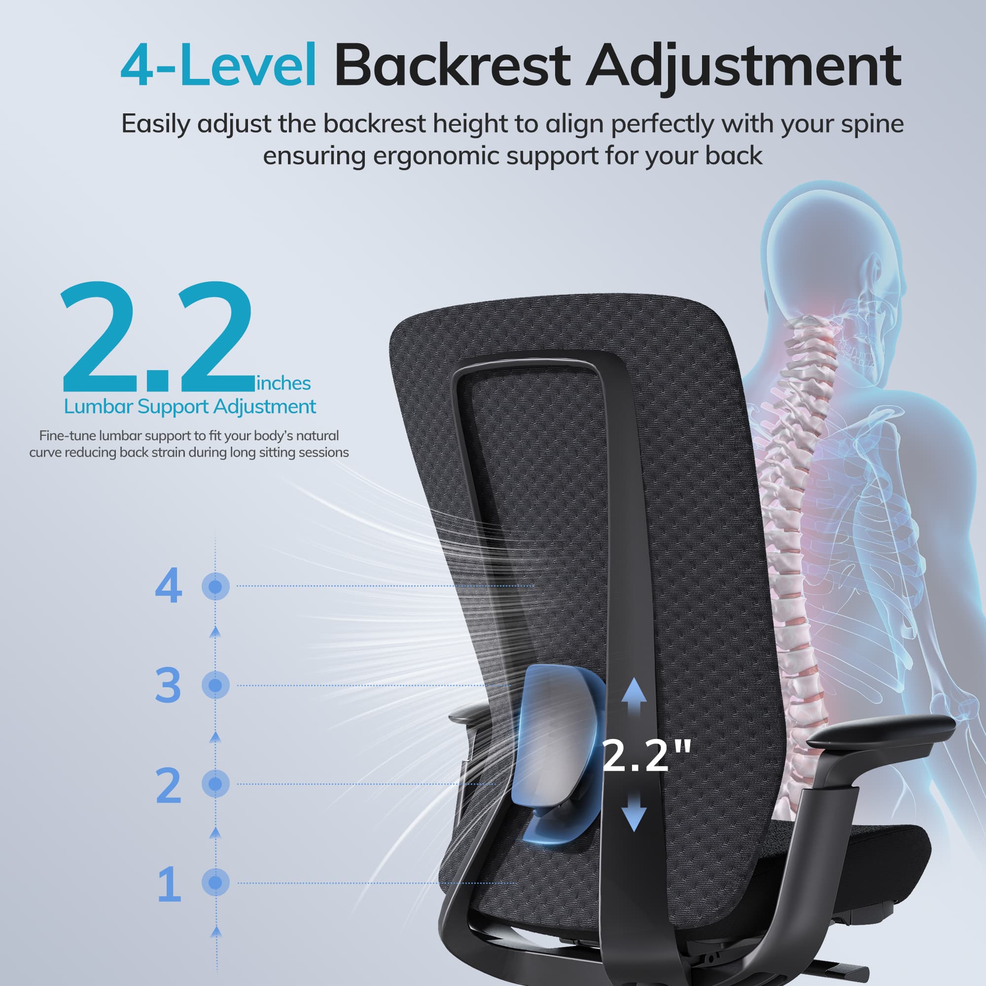 COLAMY NEZA Contemporary Office Office Chair