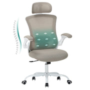 COLAMY Ergonomic Mesh Office Chair with Lumbar Support Model.9050