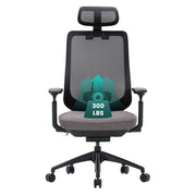 COLAMY ATLAS-01 Ergonomic Mesh Office Chair Cap.300lbs