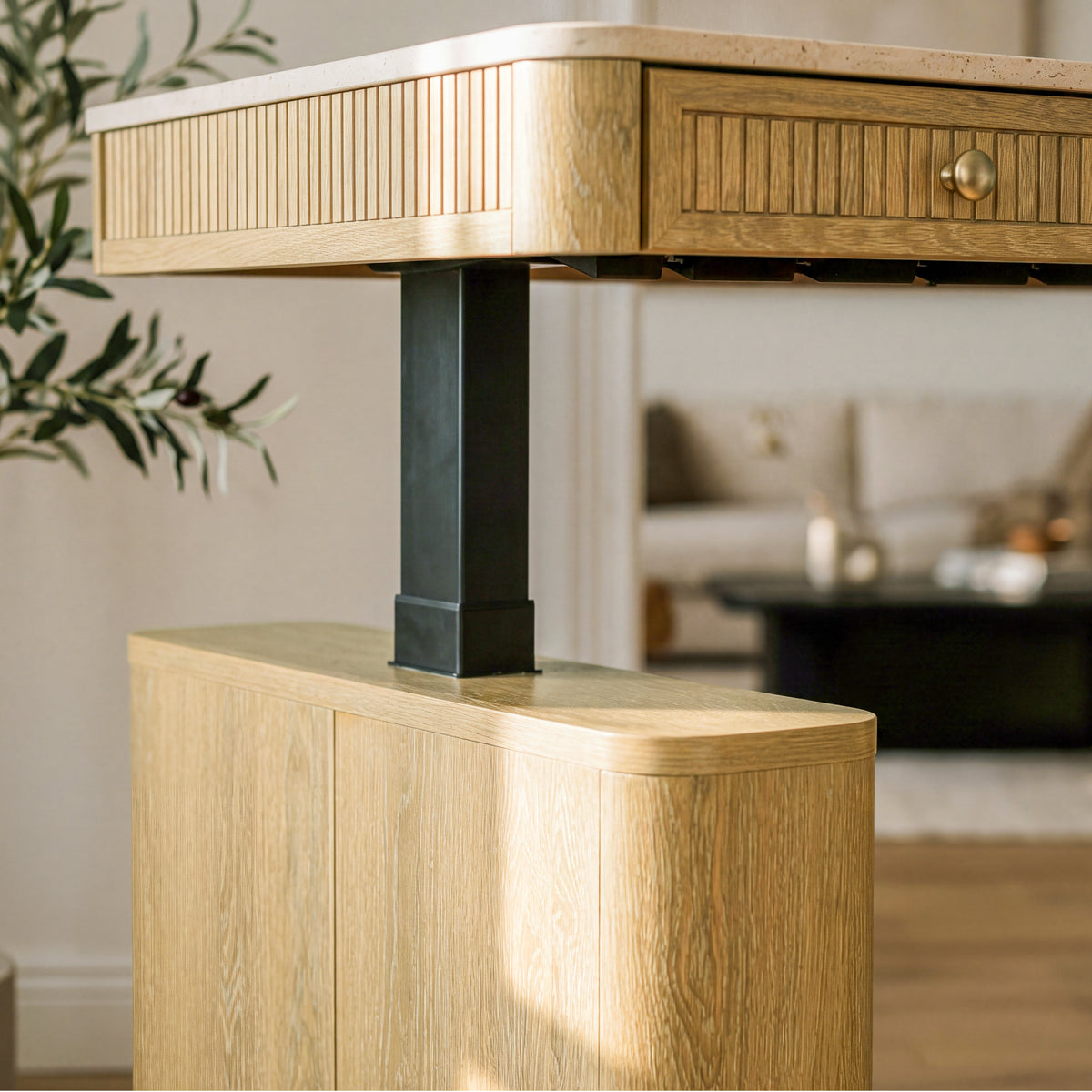 COLAMY VERSE Electric Standing Desk with Storage